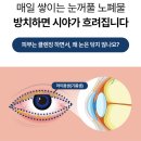 다래끼관리 고민이라면? 메디케이 클린아이솔루션 내돈내산 눈물샘 관리 후기