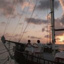 말리비치 이미지