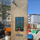 파레트 Daum카페