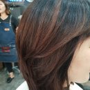 에쓰에쓰 이미지