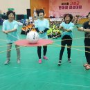 고성군 실내체육관 이미지