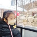 영주할인마트 | 경북 영주 아이와 가볼만한곳 선비세상 할인, 열차시간, 플레이존