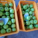 인우농장 이미지