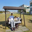 (주)선재해림풀빌라 | 🤎애견 동반 선재해림풀빌라-아이랑 대가족 동반 4월 여행(선재도/영흥도/대부도)