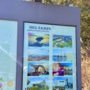 대부해솔길 2코스 | [경기도/안산] 대부도 당일치기 여행으로 가볼 만한 산책길 “대부해솔길 1코스”_주차, 후기, 꿀팁