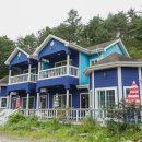 양양 발렌타인 애견펜션 이미지