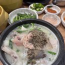 은지문구 | 과천 인생순댓국 은지순대