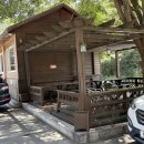 황금향어 | 제천 칼국수 맛집 이상이었던 청풍황금송어 후기