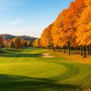 수원-0832 이미지