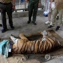 남수농장 이미지