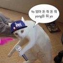 봉순대 - 유성구 전민로10번길 24 | 봉순대