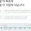 B19-2 이미지