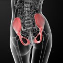 삼성제일한의원 | “허리통증의 근본 해결, 추나치료로 되찾는 건강한 일상 – 삼성제일한의원”