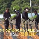 서경원농장 네이버블로그