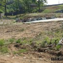 불은면-5 이미지