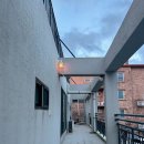 제주도 게스트 하우스 피크엔드 | 소규모 포틀럭 파티 후기, 내돈내잠