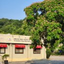 3822 | 순천빵집 조훈모과자 죽도봉점｜백년가게 빵지순례 후기
