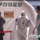 로하스방역