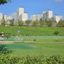 수림지 파크골프장2 이미지