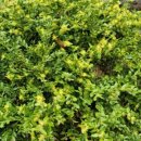 아트에비뉴공인중개사사무소 이미지