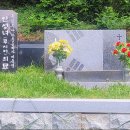 일신아파트 버스정류장 옆 | 부산의 바다 풍광을 즐기는 곳 / 신선대~봉오리산~비룡산 등산