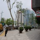 강남-278 이미지