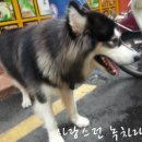 광동카페 이미지