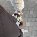 도영디자인 | ETERNAL MEMORY 도영 생일카페 주최 후기 . . . ✌🏻