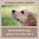 청아로마