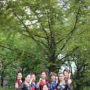 후동공원 이미지