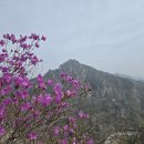서봉 | [강진 덕룡산] 진달래와 기암괴석의 연주, 덕룡산(동봉·서봉) 산행 후기 (수양마을 하산)