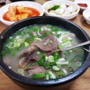 착한짐승