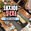 돼지야&닭 이미지