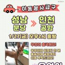 [함안보호소 유기견] "우엉이" 찐 가족만나러 캐나다로 출국합니다 공항까지 데려다주실 이동봉사자분 찾아요 (분당출발 - 인천공항) 이미지