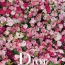 울트라케어 이미지