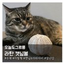 신나게 굴리며 뛰어노는 고양이장난감 오늘도그르릉 '라탄 캣닢볼'