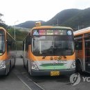주정차단속-127 이미지