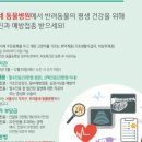 웰니스 클리닉 동물병원 이미지