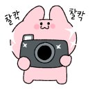 애견백화점 동탄점 이미지