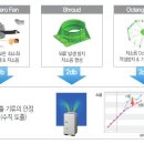 엔비빌딩 이미지