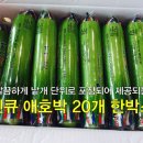 새벽에프앤비 이미지