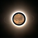 하늘달팽이 이미지