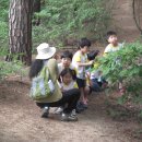 보림유치원 Daum카페