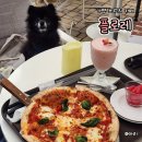 청평가든 | 포토존이 많은 가평 청평 브런치 카페 플로레 솔직후기