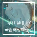 해양문화(주) | 부산 실내 아이와 가볼 만한 곳 국립해양박물관 | 매년 방문해도 아이가 좋아하는 곳