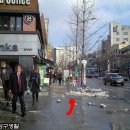 베이커리오월의종 - 용산구 이태원로49길 24 | 베이커리오월의종