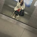 양양별채268 이미지