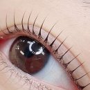 씨씨즈속눈썹 이미지