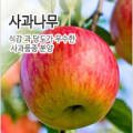 한국원예종묘 - 서초구 헌인릉1길 59 | 한국원예종묘