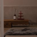 아담 스테이 이미지